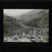 Böhl glass slide 59./1388